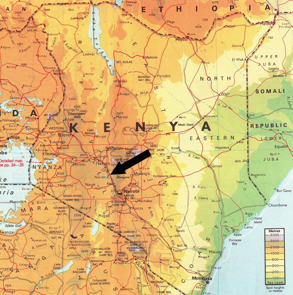 0568 IMGP0790(28)LakeNaivasha